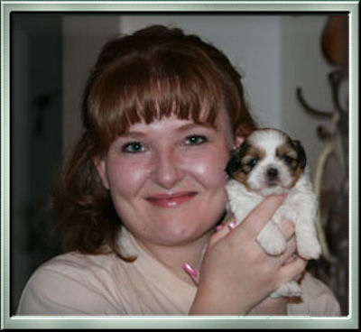 Kim-Rompin' Lil' Chinese Imperial Shih Tzu